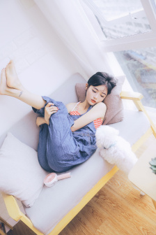 飞机上的秘密服务H